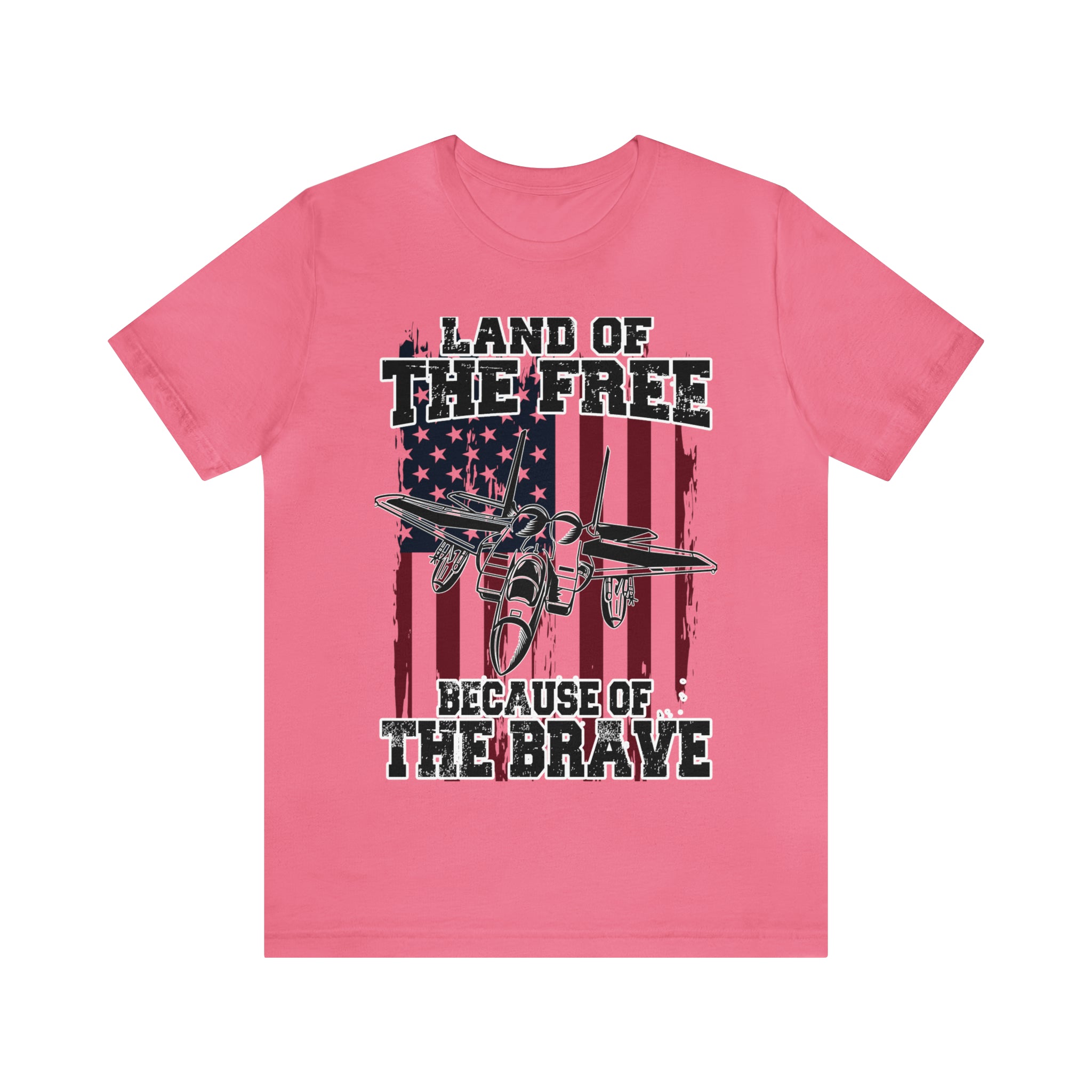 Because of the Brave F-15 - Men's and Women's Tee - Danger Close Apparel